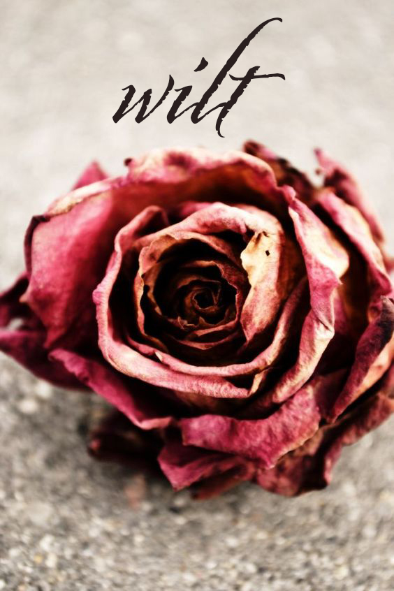 wilt